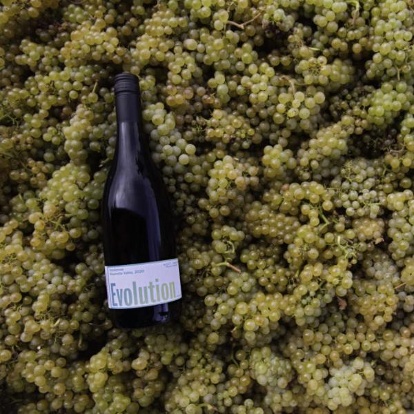Evolution Chardonnay